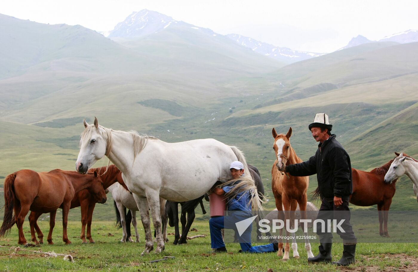 Mountain pasture in Suusamyr Valley