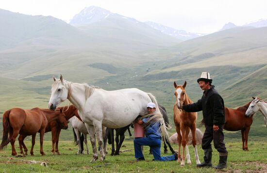Mountain pasture in Suusamyr Valley