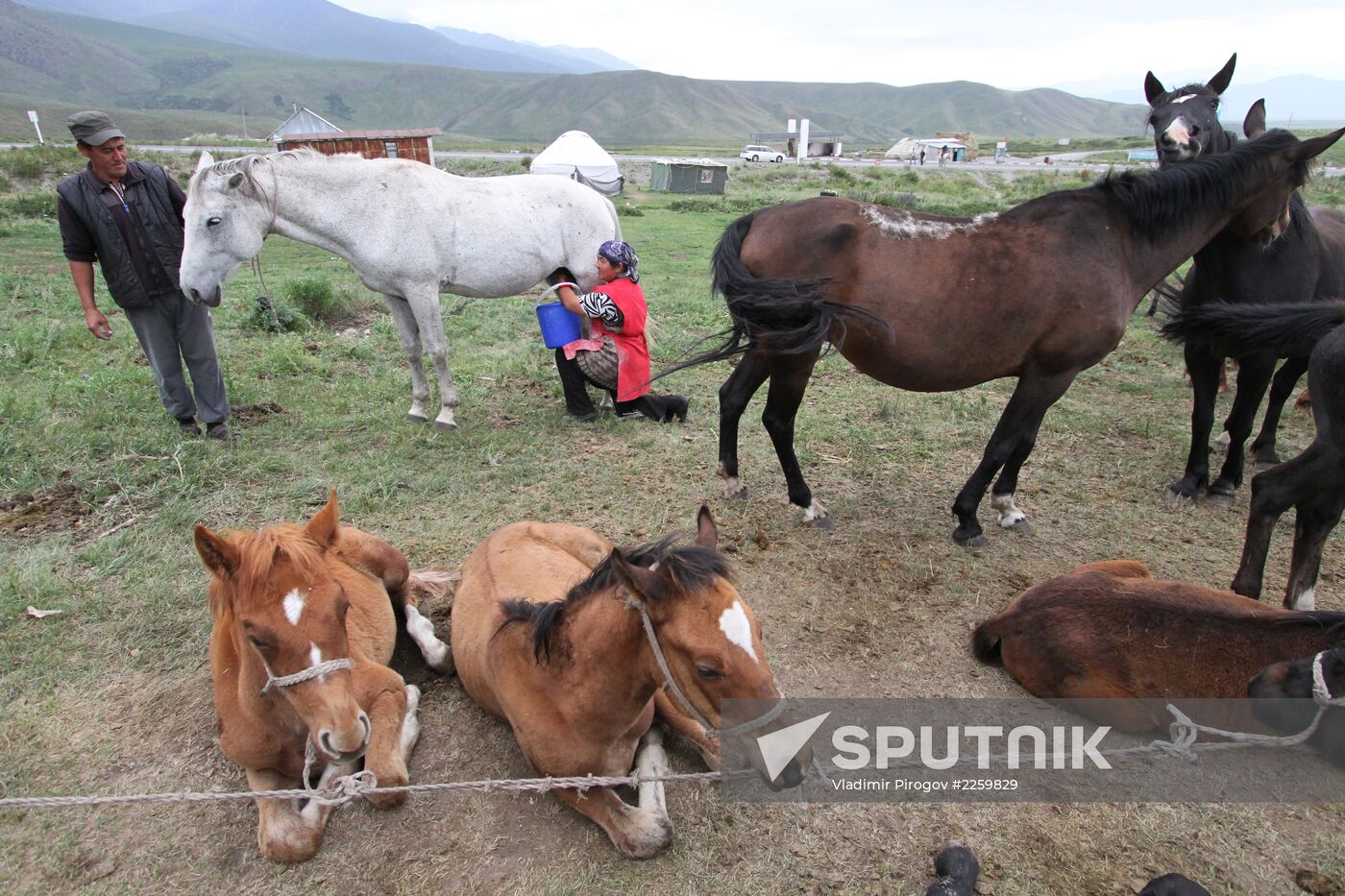 Mountain pasture in Suusamyr Valley