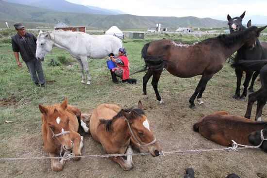 Mountain pasture in Suusamyr Valley