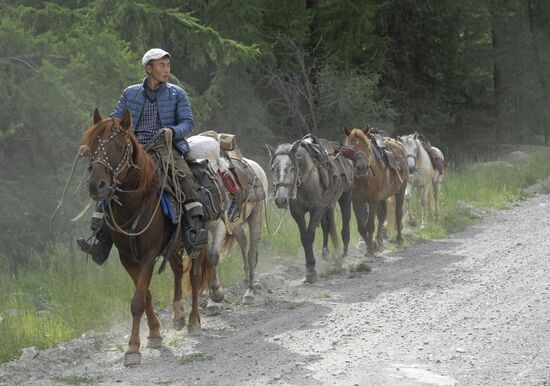 Russian Regions. Republic of Altai