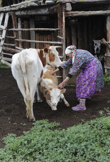 Russian Regions. Republic of Altai