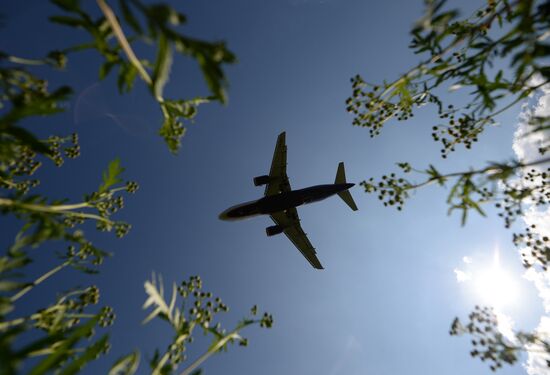 Sheremetyevo Airport