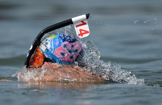 Underwater sport. CMAS 2013 Games. Marathon
