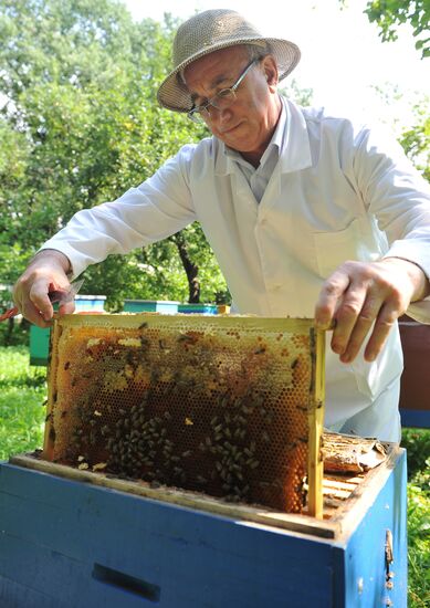 Apiary at K.Timiryazev Agrarian University