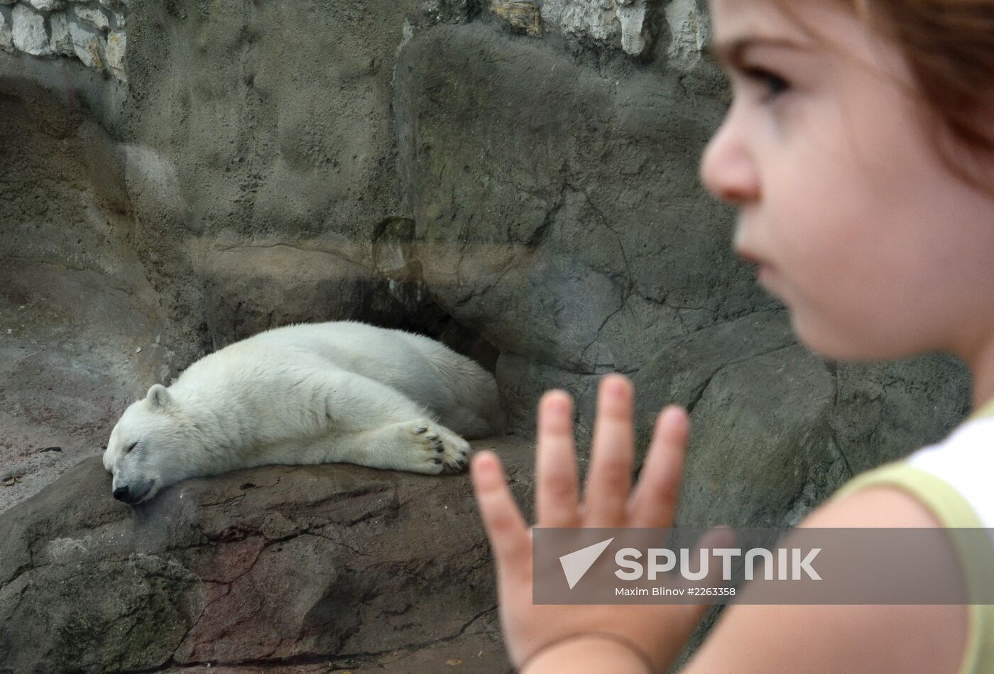 Moscow Zoo