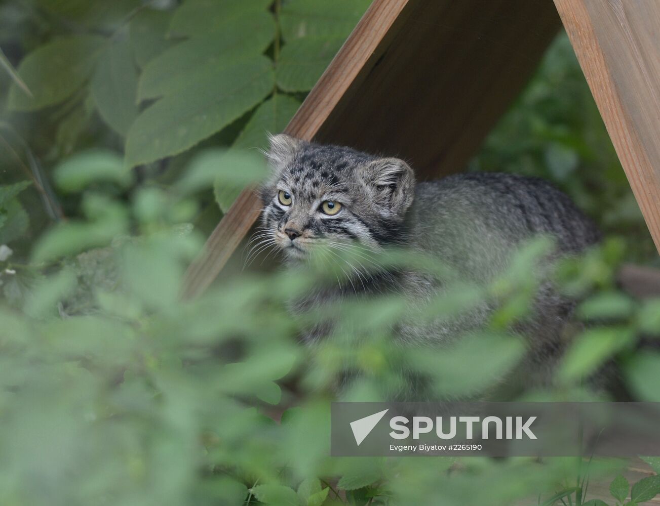 Moscow Zoo