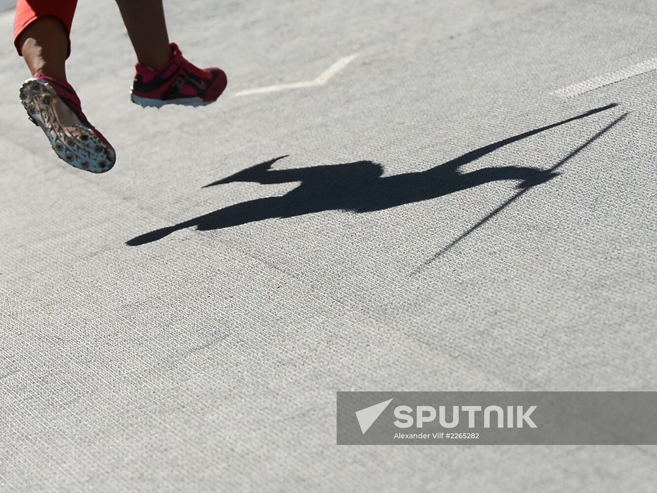 2013 IAAF World Championships. Day Seven. Morning session