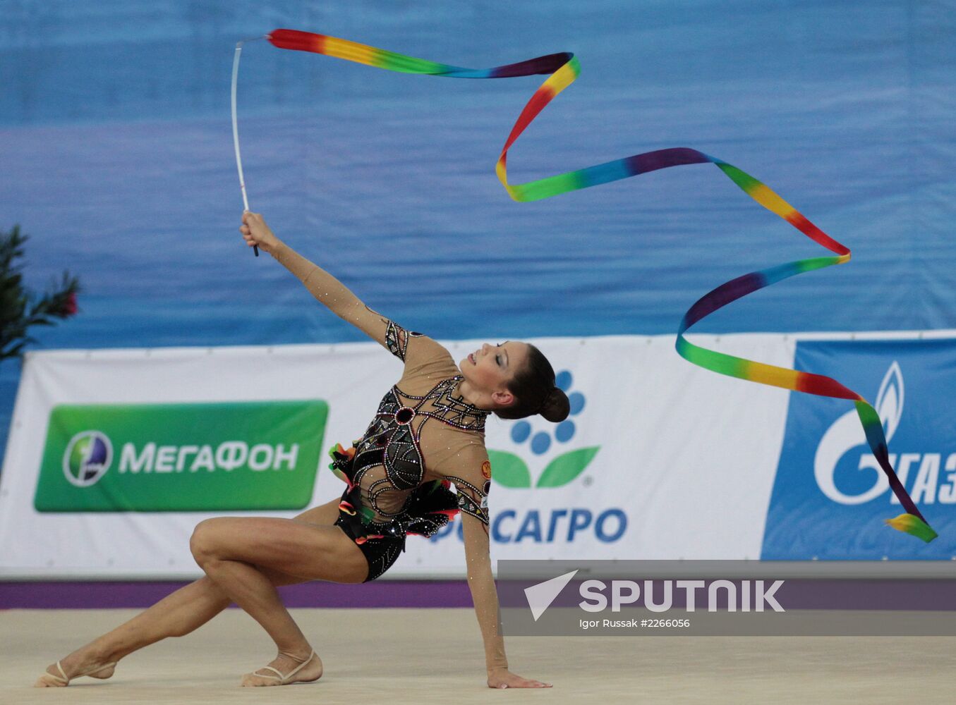 2013 Rhythmic Gymnastics World Cup Series. Day 2