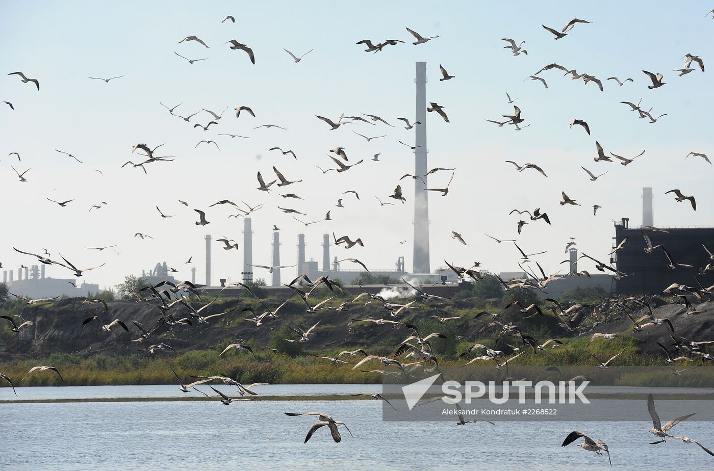 Chelyabinsk Electrometallurgical Plant