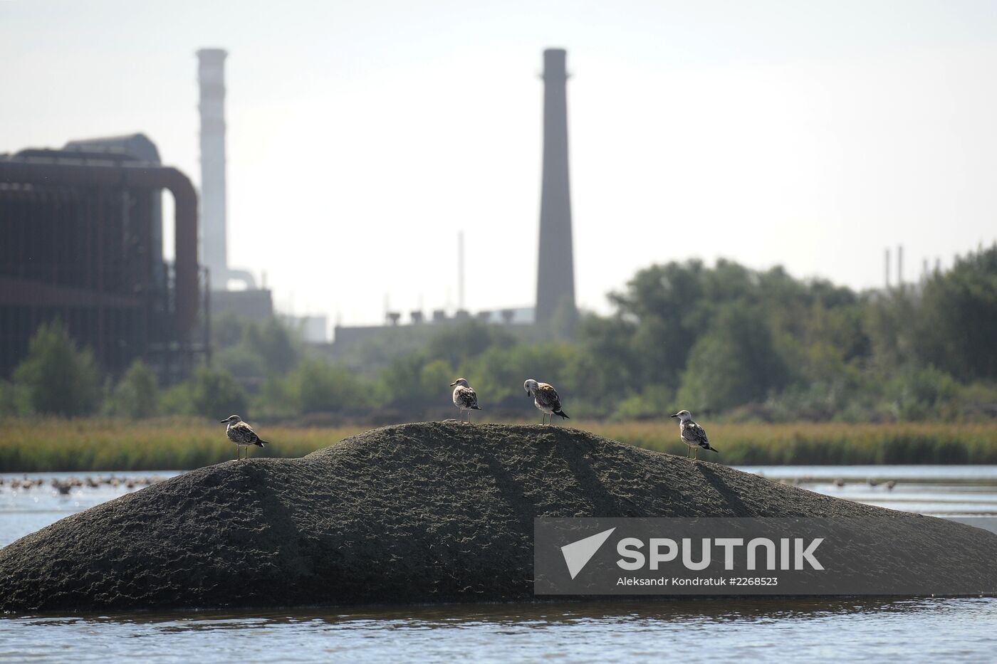 Chelyabinsk Electrometallurgical Plant