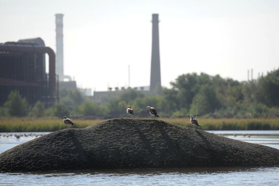 Chelyabinsk Electrometallurgical Plant