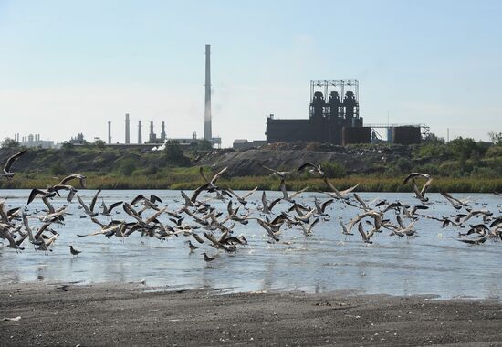 Chelyabinsk Electrometallurgical Plant