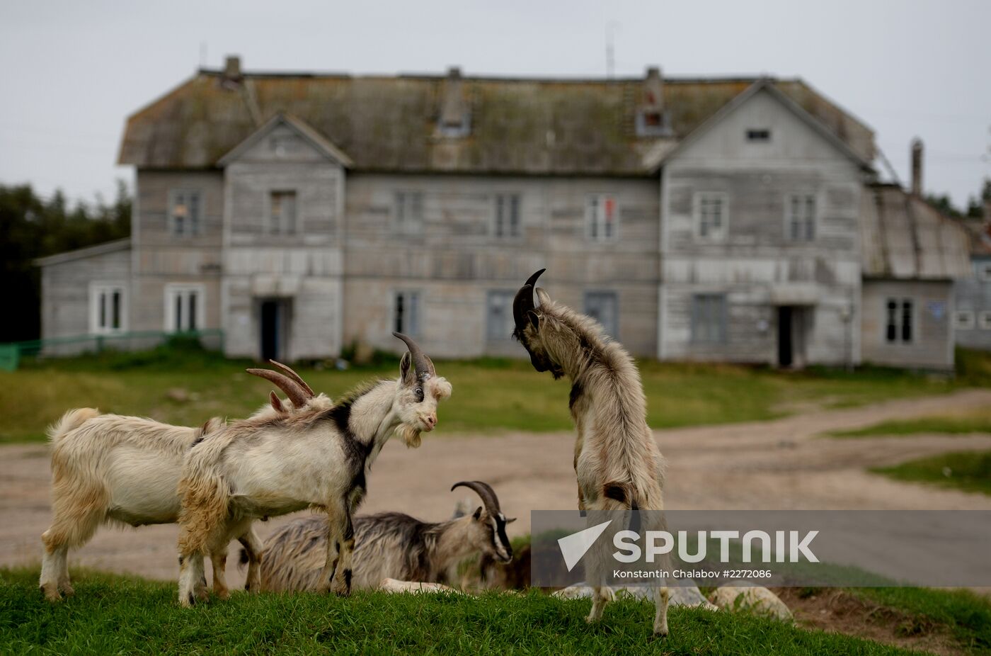 Life on Solovetsky Islands
