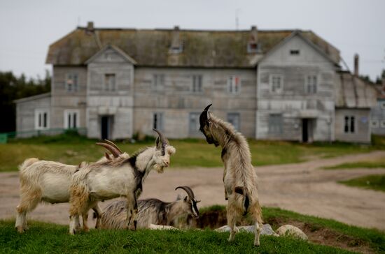 Life on Solovetsky Islands