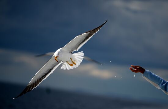 Life on Solovetsky Islands