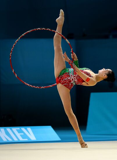 2013 Rhythmic Gymnastics Championships. Day One. Qualification