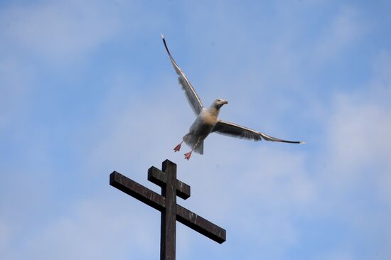 Life on Solovetsky Islands