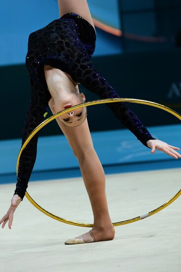 2013 Rhythmic Gymnastics Championships. Day One. Qualification