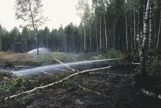 Fire bed eliminated