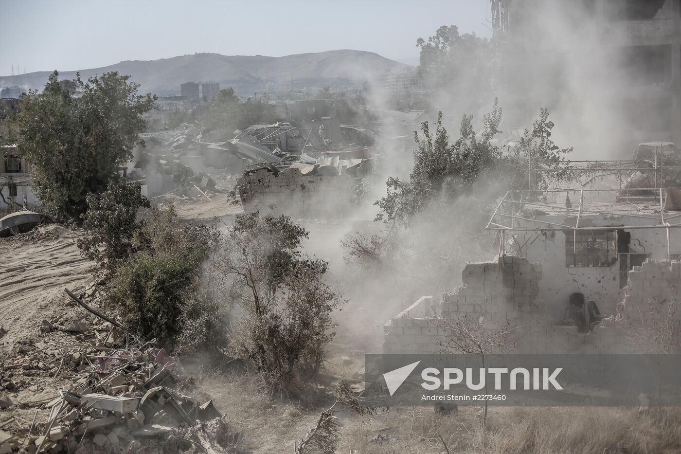 Syrian Army in Damascus outskirts