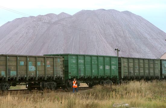 Belaruskali halts operations at half of its mines
