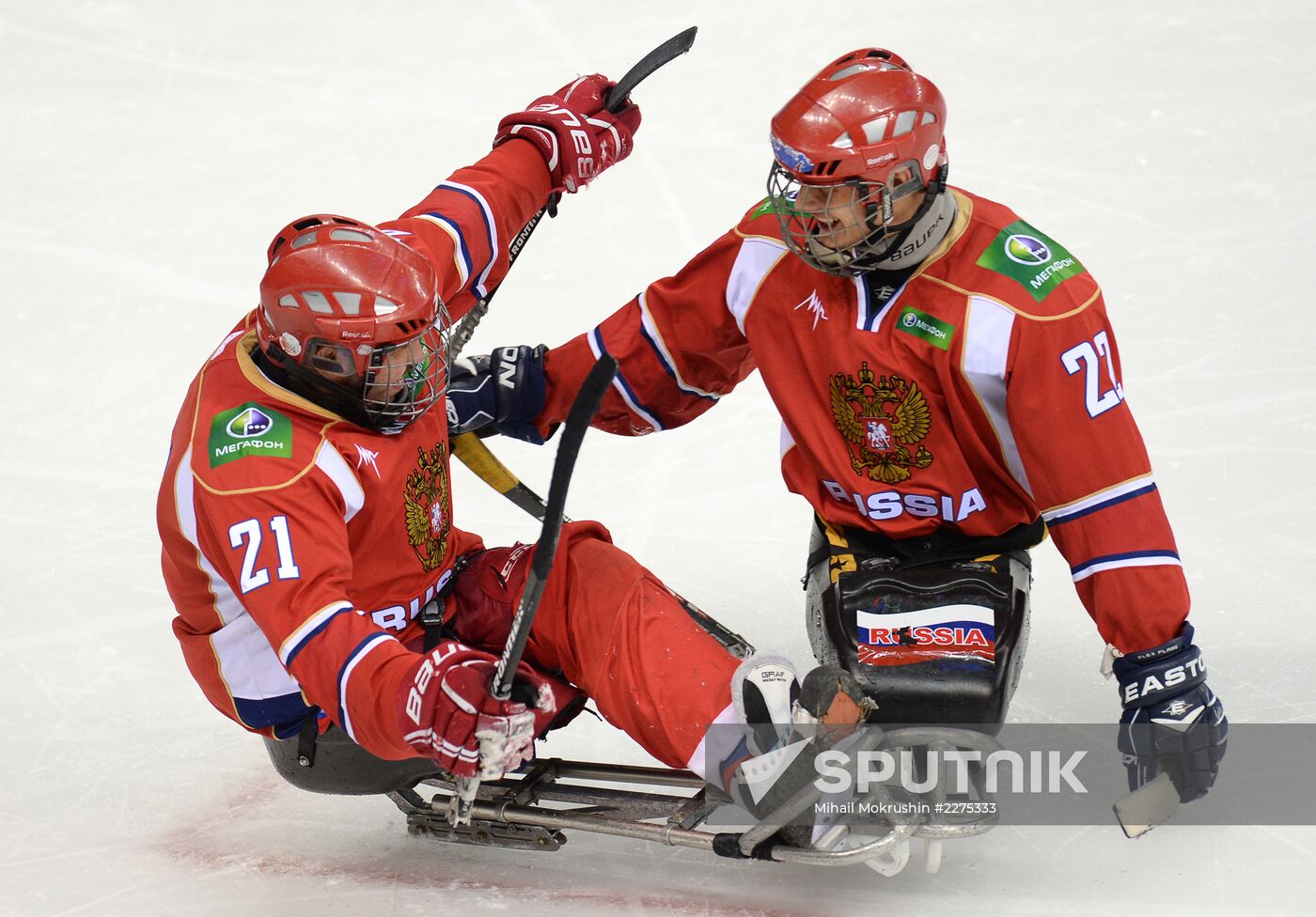 Sledge hockey. Four Nations Tournament. Match for 3rd place