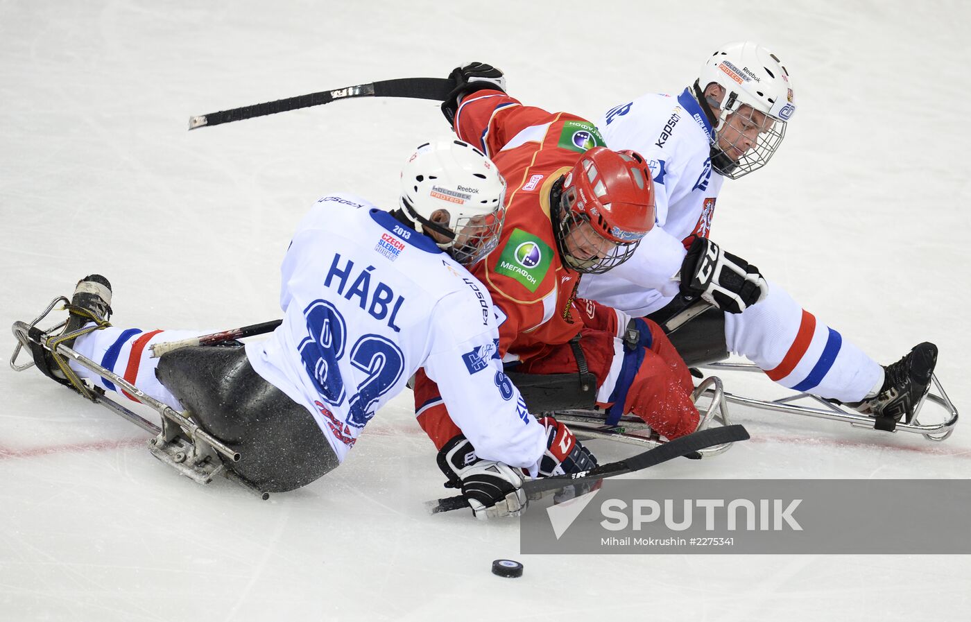 Sledge hockey. Four Nations Tournament. Match for 3rd place