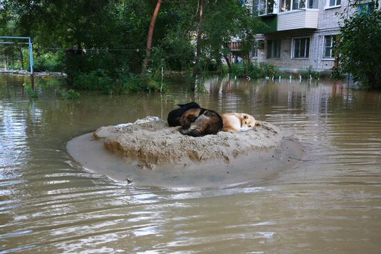 Flooding in Khabarovsk