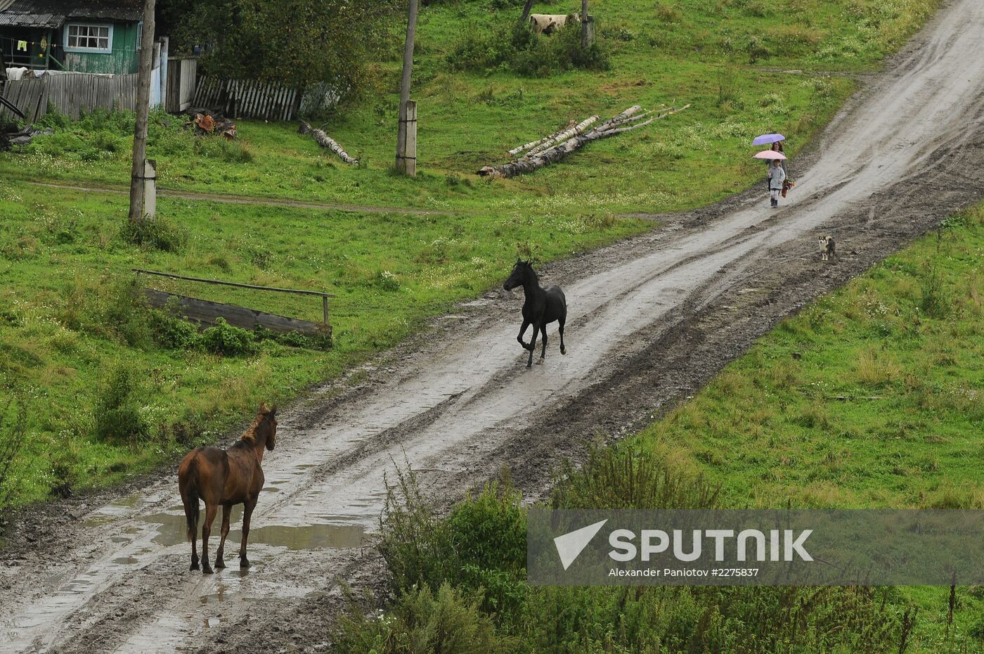 School year begins in Chelyabinsk Region
