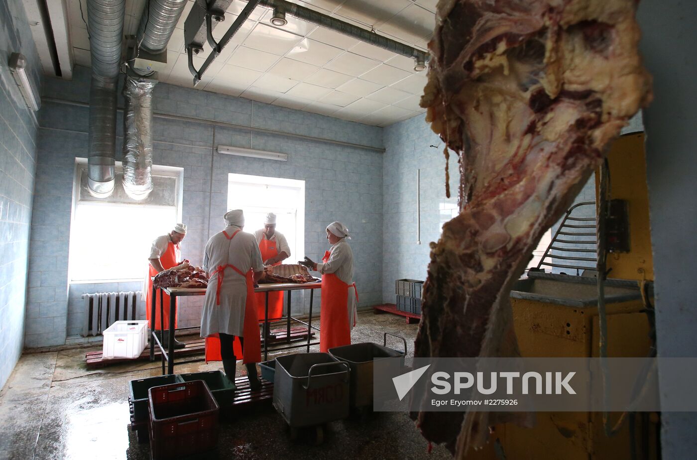 Russian food monistoring agency to step up Belarus meat control