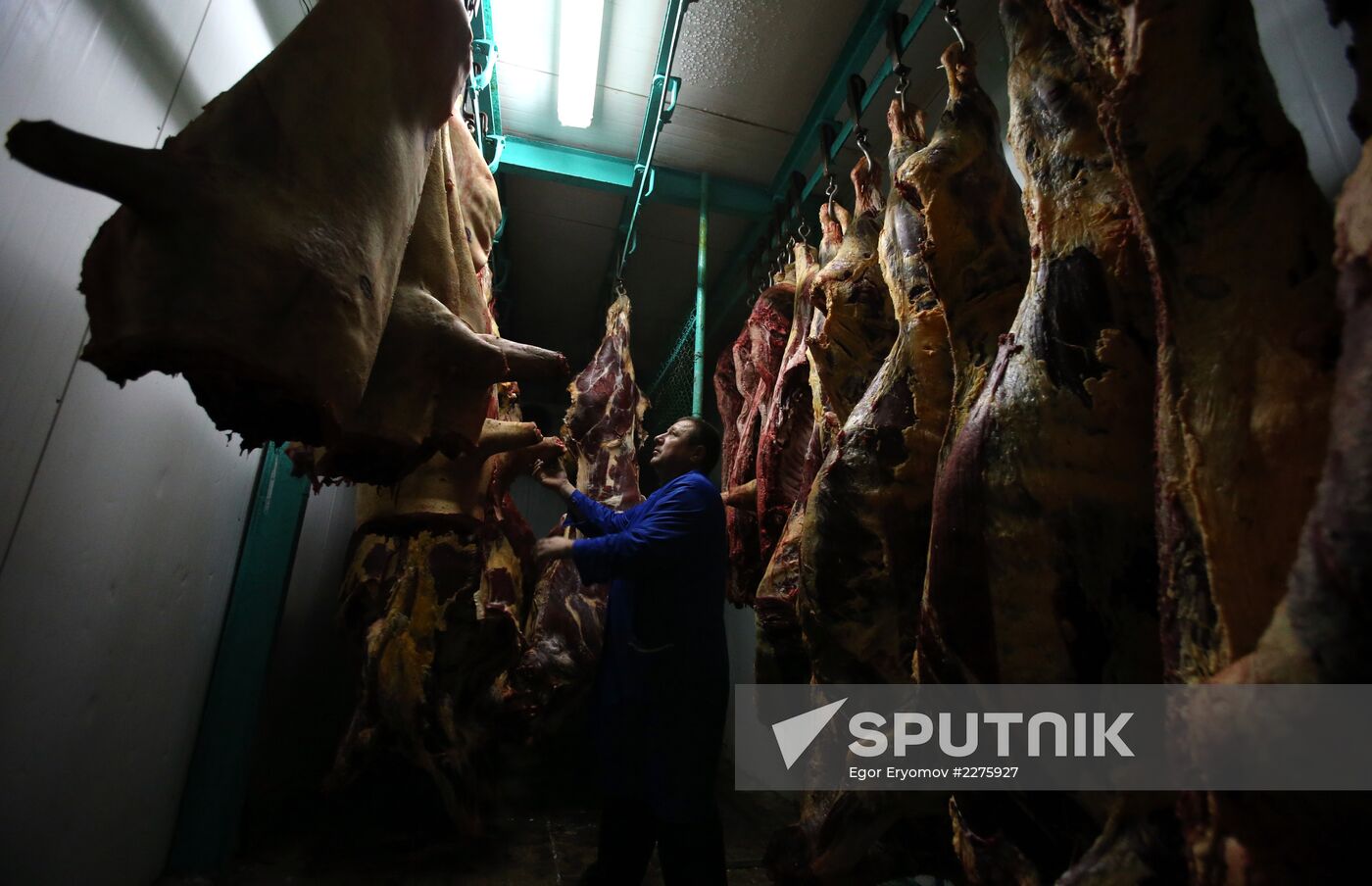 Russian food monistoring agency to step up Belarus meat control