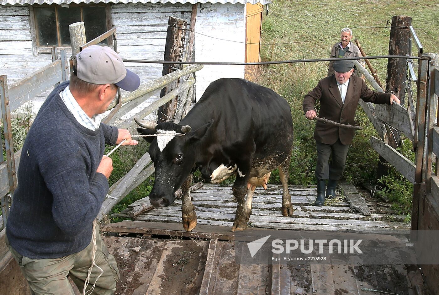 Russian food monistoring agency to step up Belarus meat control