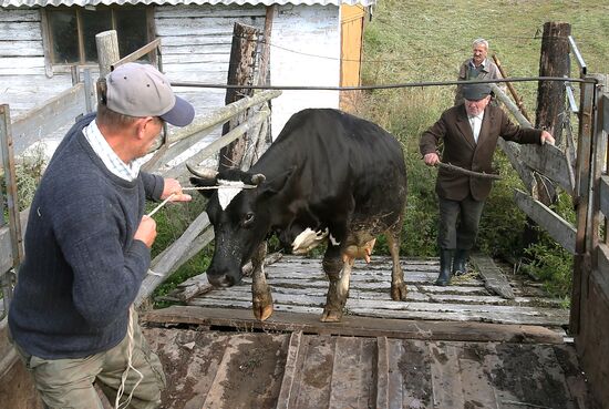 Russian food monistoring agency to step up Belarus meat control