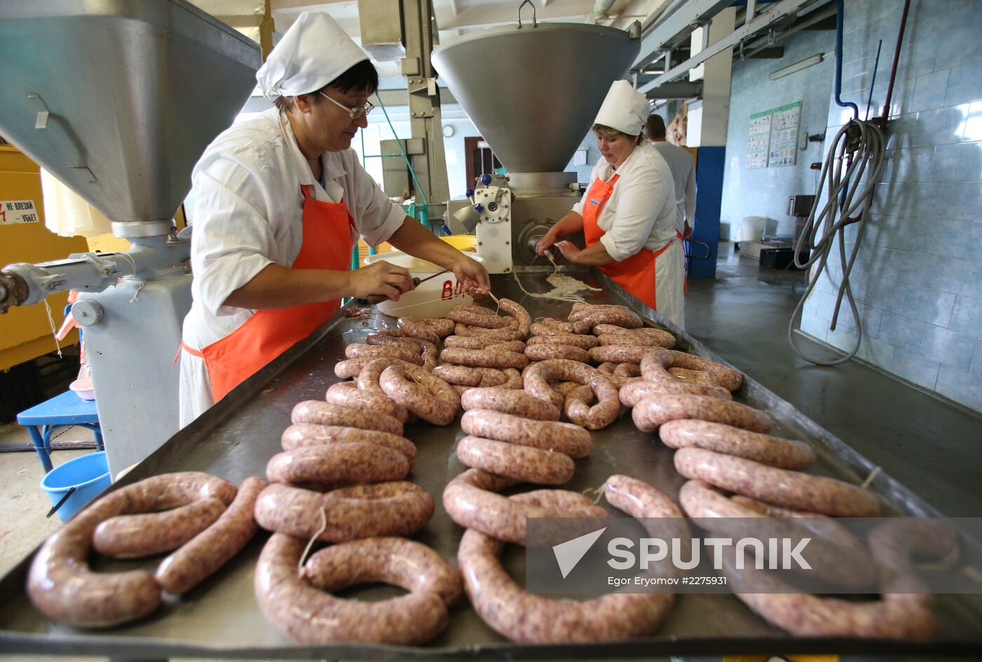 Russian food monistoring agency to step up Belarus meat control