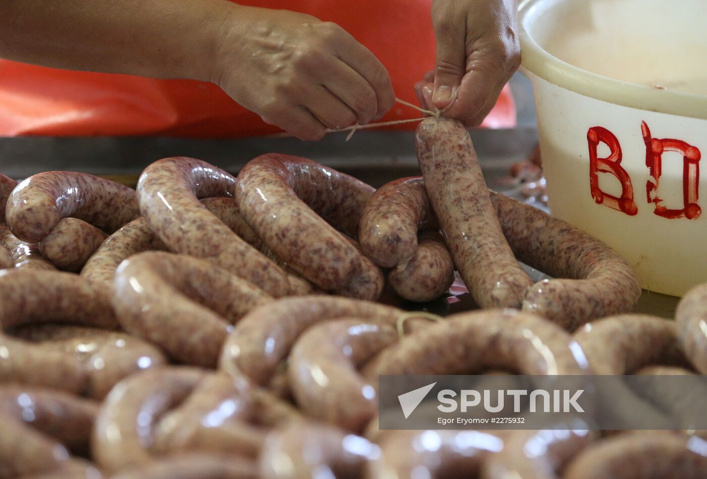Russian food monistoring agency to step up Belarus meat control