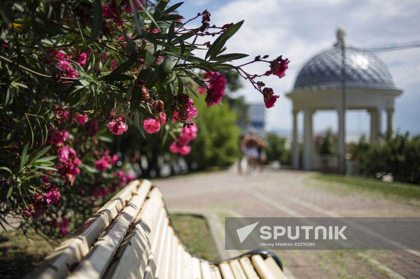Sochi, the capital of the Winter Olympics