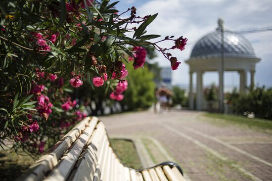 Sochi, the capital of the Winter Olympics