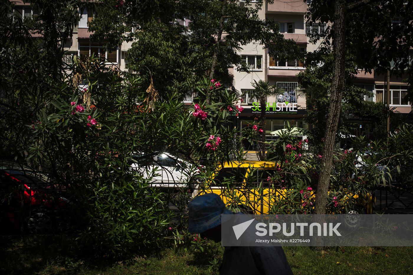 Sochi, the capital of the Winter Olympics