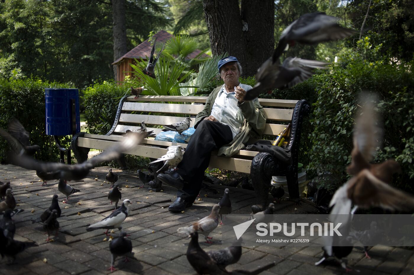 Sochi, the capital of the Winter Olympics