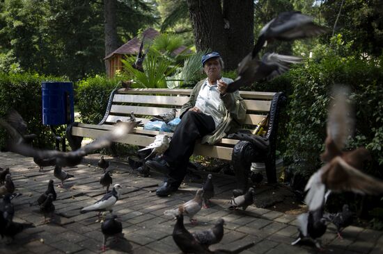 Sochi, the capital of the Winter Olympics