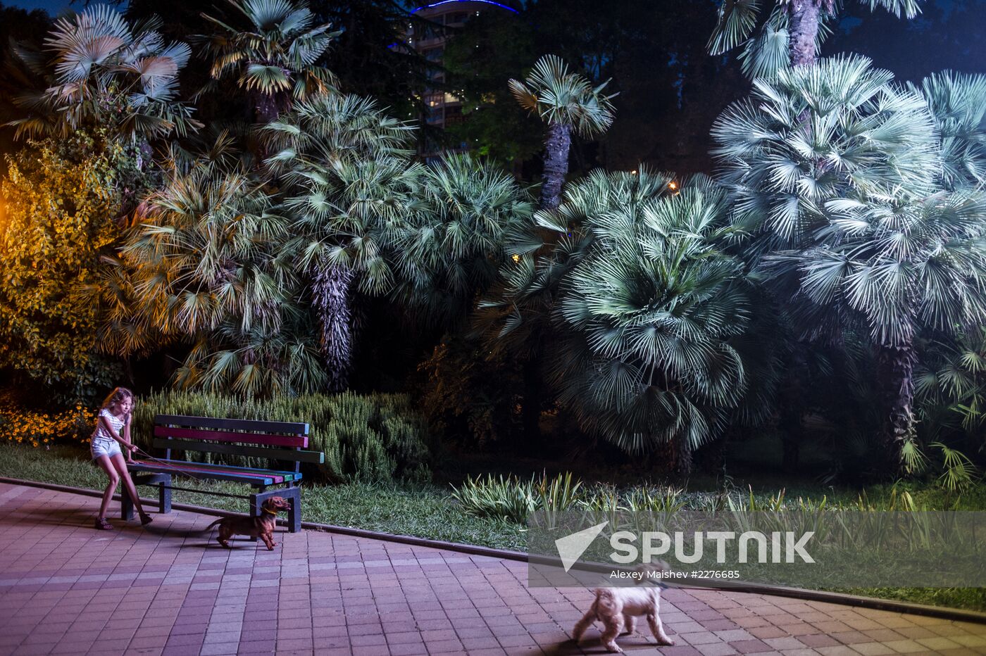 Sochi, the capital of the Winter Olympics