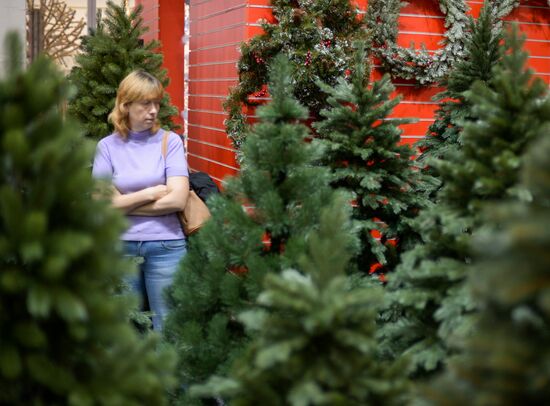 Exhibition "Christmas Time. 100 days until the New Year"