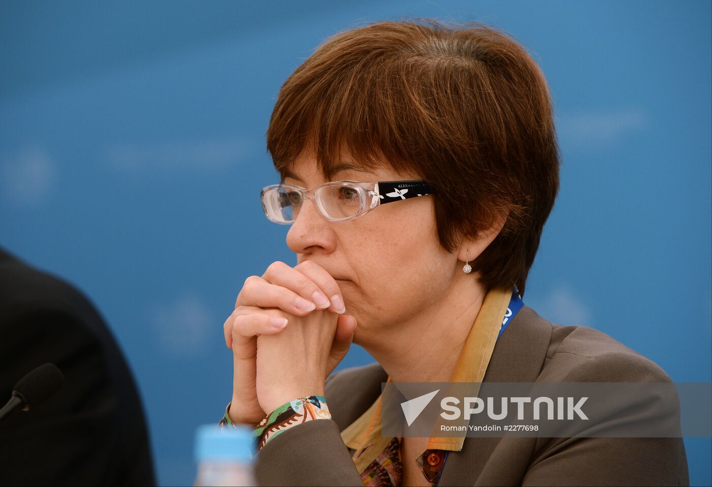 Briefings by Russian and foreign experts