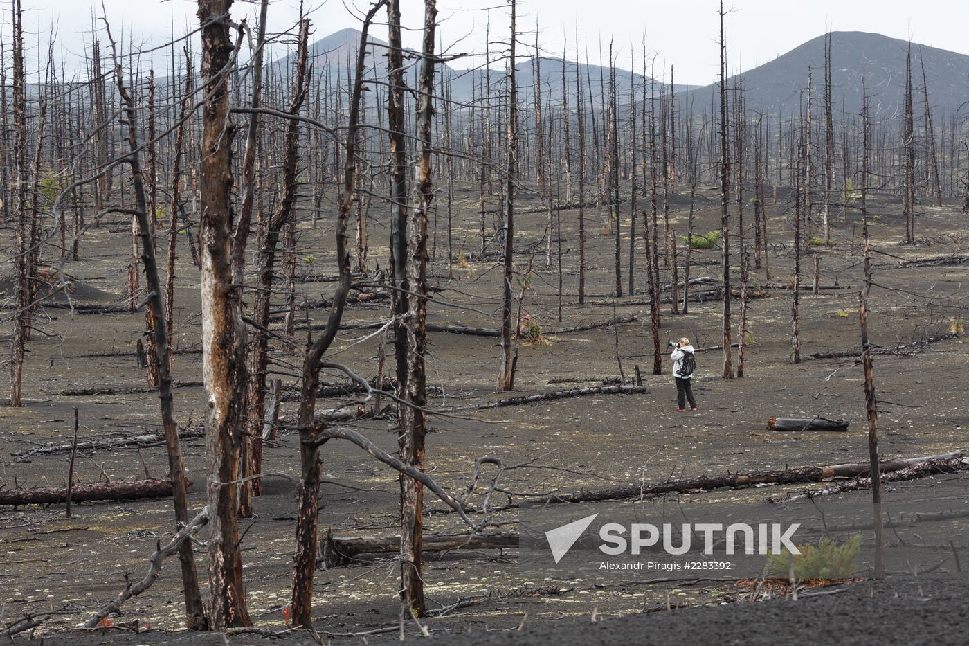 Volcanoes of Kamchatka nature park