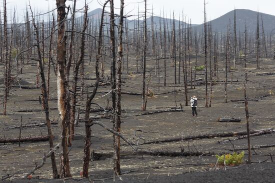 Volcanoes of Kamchatka nature park