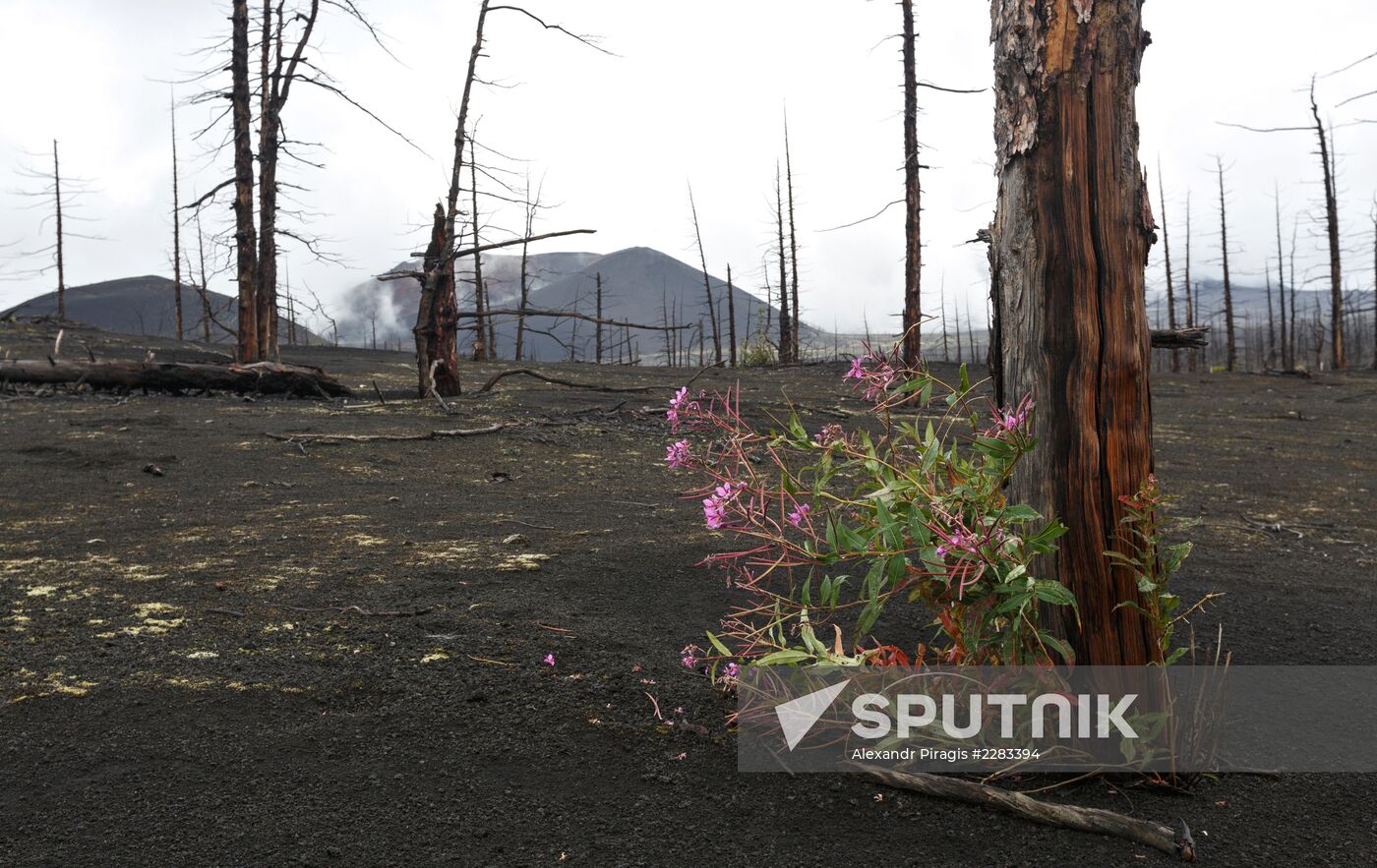 Volcanoes of Kamchatka nature park