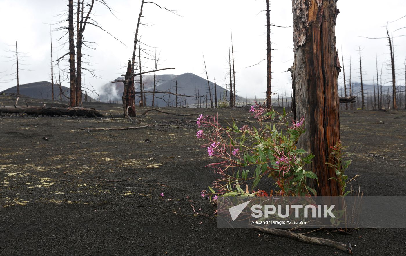 Volcanoes of Kamchatka nature park