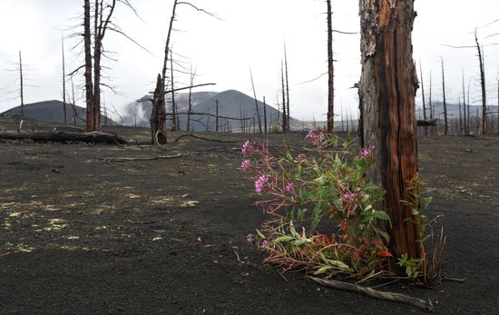 Volcanoes of Kamchatka nature park