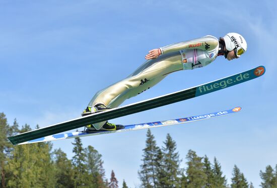Ski jumping. Summer Grand Prix. Day Two